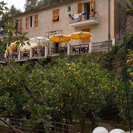 La Casa Dei Limoni Hotel Monterosso al Mare Luaran gambar