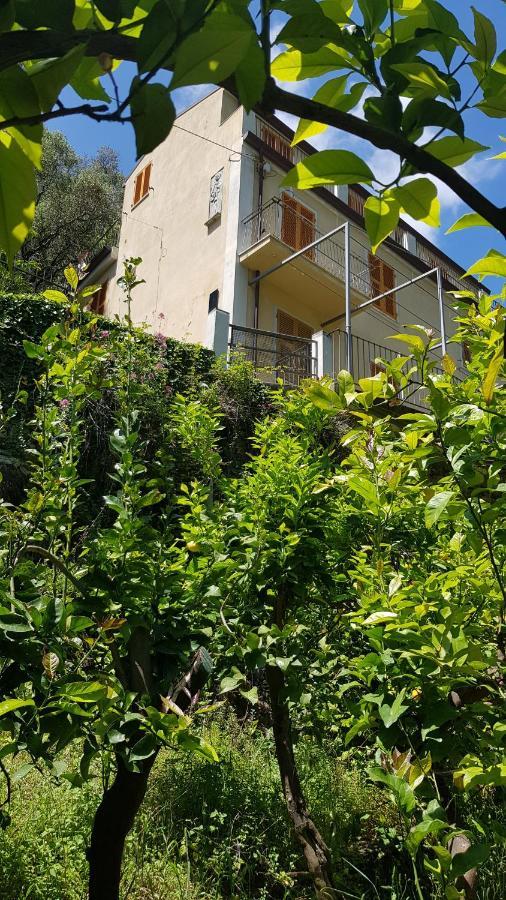 La Casa Dei Limoni Hotel Monterosso al Mare Luaran gambar