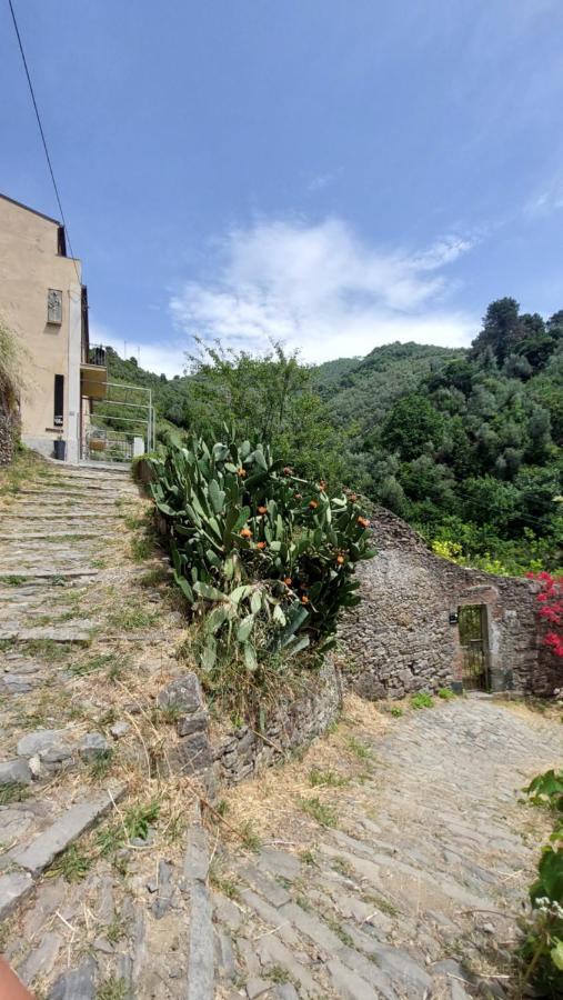 La Casa Dei Limoni Hotel Monterosso al Mare Luaran gambar